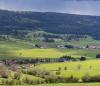 paysage bocager